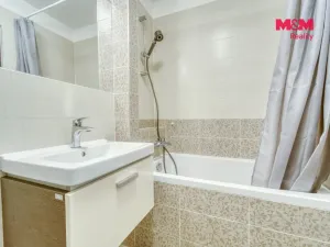 Prodej bytu 1+kk, Plzeň - Východní Předměstí, Plzenecká, 30 m2