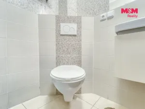 Prodej bytu 1+kk, Plzeň - Východní Předměstí, Plzenecká, 30 m2