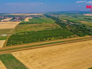Prodej pole, Rakvice, 12442 m2