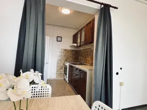 Pronájem bytu 2+kk, Praha - Kamýk, Zimova, 43 m2