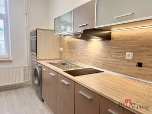 Pronájem bytu 1+1, Opava - Předměstí, Na Nivě, 37 m2