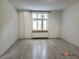 Pronájem bytu 1+1, Opava - Předměstí, Na Nivě, 37 m2