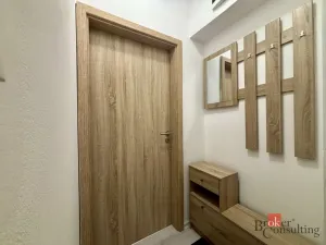 Pronájem bytu 1+1, Opava - Předměstí, Na Nivě, 37 m2