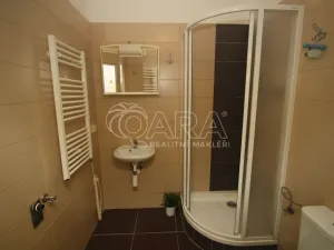 Pronájem bytu 1+kk, Praha - Žižkov, Hartigova, 29 m2