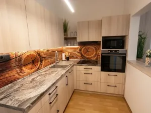 Prodej komerční nemovitosti, Teplice, Karla Čapka, 353 m2