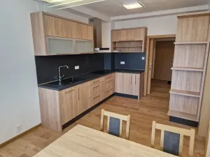 Pronájem bytu 2+1, Ostrava, Zámecká, 78 m2