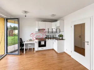 Pronájem bytu 1+kk, Vestec, U Hrubých, 32 m2
