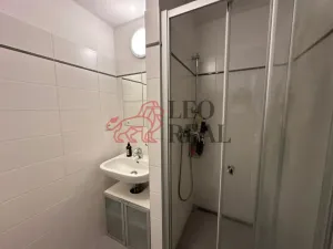 Pronájem bytu 1+kk, Vestec, U Hrubých, 32 m2