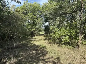 Prodej zahrady, Říčany, Do Lehovic, 2317 m2