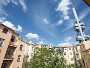 Pronájem bytu 2+1, Praha - Žižkov, Škroupovo náměstí, 78 m2