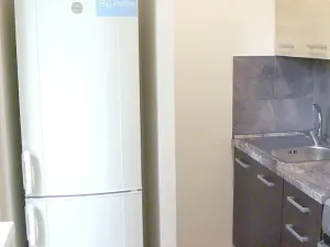 Pronájem bytu 1+1, Kladno, Finská, 43 m2