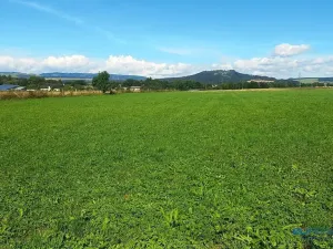 Prodej louky, Police nad Metují, 17068 m2