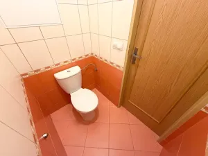 Prodej bytu 3+kk, Pardubice, Jozefa Gabčíka, 77 m2