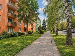 Pronájem bytu 1+1, Přerov, Petřivalského, 39 m2