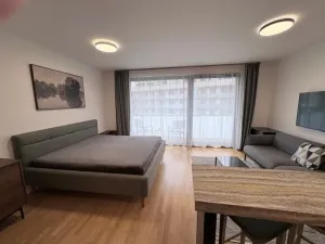 Pronájem bytu 1+kk, Praha - Žižkov, Krásova, 45 m2