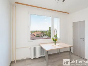 Pronájem bytu 2+1, Roudnice nad Labem, Alej 17. listopadu, 57 m2
