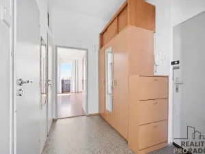 Prodej bytu 1+1, Pardubice, Čechovo nábřeží, 42 m2