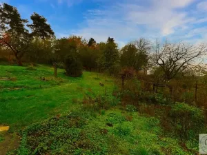 Prodej rodinného domu, Dobřichov, 175 m2