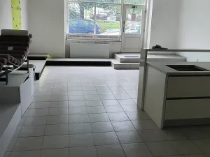 Pronájem obchodního prostoru, Jihlava, Havlíčkova, 60 m2