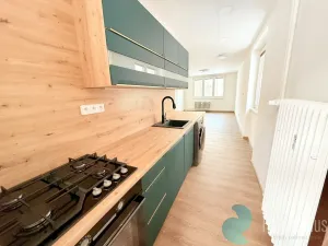 Pronájem bytu 3+kk, České Budějovice, Slunečná, 65 m2