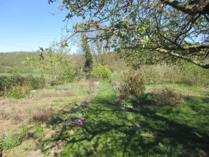 Prodej zahrady, Brno, Řezáčova, 1392 m2
