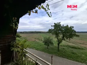 Prodej vinného sklepa, Vlkoš, 111 m2