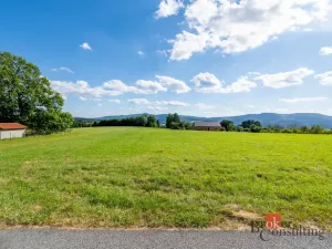 Prodej louky, Chrastava - Horní Chrastava, Frýdlantská, 7126 m2