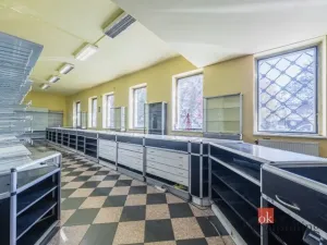 Prodej obchodního prostoru, Plzeň - Jižní Předměstí, Korandova, 246 m2