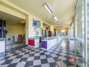 Prodej obchodního prostoru, Plzeň - Jižní Předměstí, Korandova, 246 m2