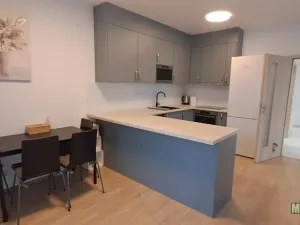 Pronájem bytu 1+kk, Praha - Žižkov, Olšanská, 79 m2