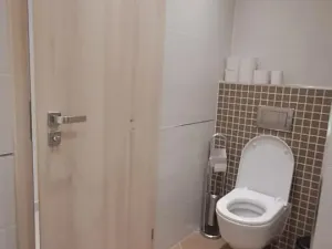 Pronájem bytu 1+kk, Praha - Žižkov, Olšanská, 79 m2