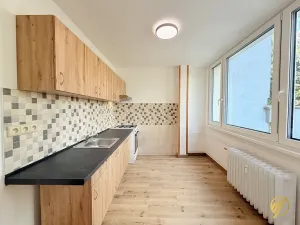 Prodej bytu 2+1, Mladá Boleslav, Purkyňova, 60 m2