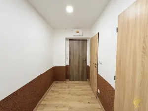 Prodej bytu 2+1, Mladá Boleslav, Purkyňova, 60 m2