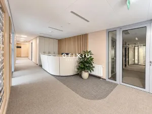 Pronájem kanceláře, Praha - Košíře, Vrchlického, 350 m2