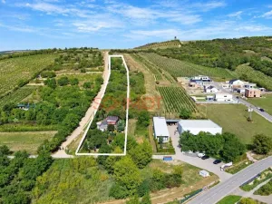 Prodej pozemku pro bydlení, Hustopeče, Havlíčkova, 7968 m2