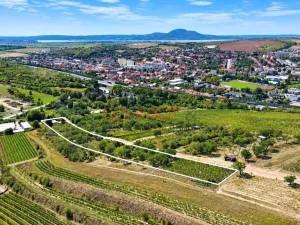 Prodej pozemku pro bydlení, Hustopeče, Havlíčkova, 7968 m2