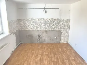 Pronájem vícegeneračního domu, Cheb, 284 m2