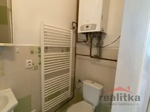 Pronájem bytu 1+1, Opava - Předměstí, Rybářská, 38 m2