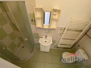 Pronájem bytu 1+1, Opava - Předměstí, Rybářská, 37 m2