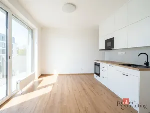 Pronájem bytu 1+kk, Plzeň - Bolevec, Krašovská, 36 m2