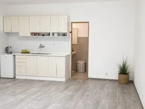 Pronájem bytu 1+kk, Brno, bratří Sapáků, 33 m2