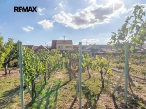 Prodej rodinného domu, Tvrdonice, Příční, 225 m2