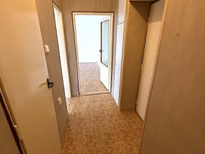 Prodej bytu 1+1, Brno - Lesná, Nejedlého, 38 m2