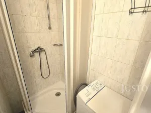 Pronájem bytu 1+kk, Písek, Dr. M. Horákové, 20 m2