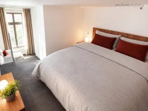 Pronájem bytu 1+kk, Praha - Žižkov, Hartigova, 34 m2