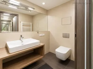 Pronájem bytu 1+kk, Praha - Žižkov, Hartigova, 34 m2