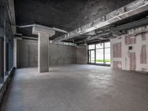 Prodej obchodního prostoru, Praha - Nusle, Nuselská, 303 m2