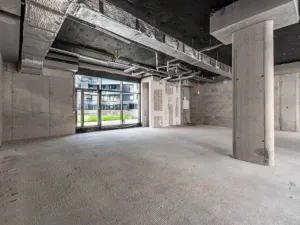 Prodej obchodního prostoru, Praha - Nusle, Nuselská, 303 m2