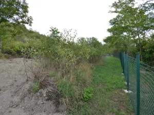 Pronájem zahrady, Křešice, 1500 m2