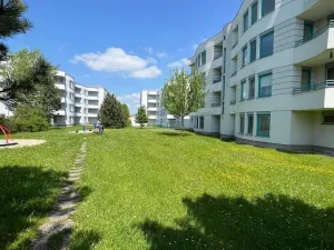 Prodej bytu 1+kk, Třeboň - Třeboň II, U Francouzů, 36 m2